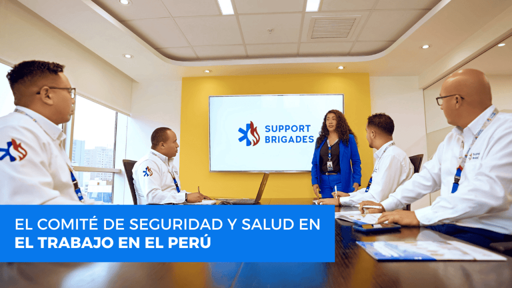 comite de seguridad y salud