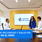 comite de seguridad y salud