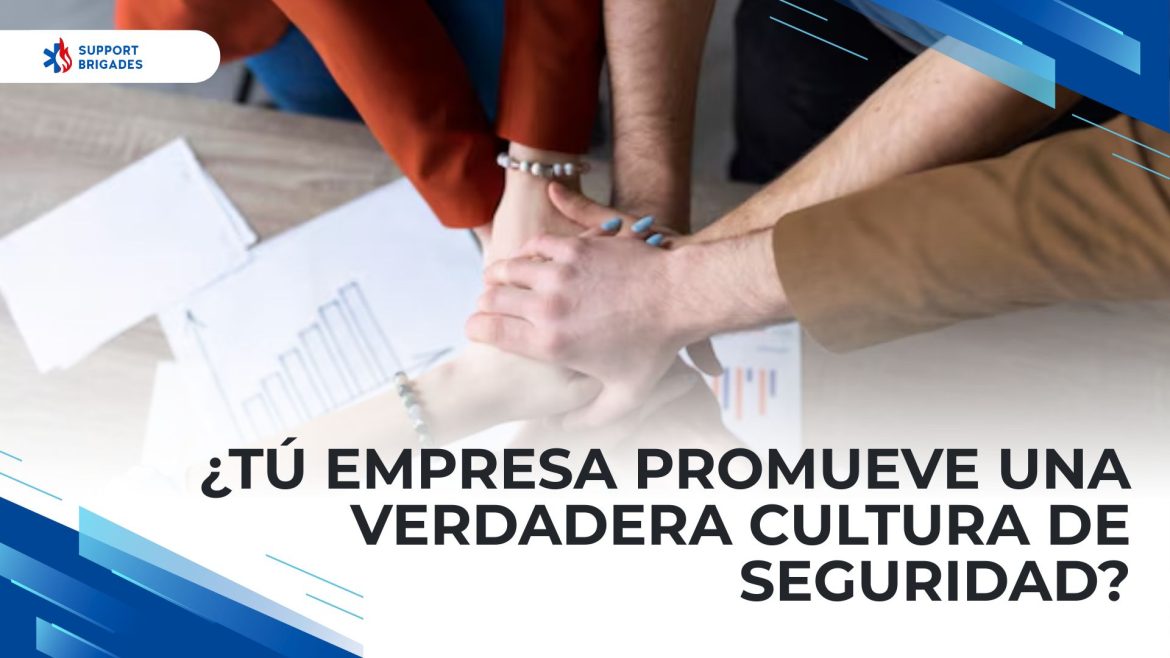 cultura de seguridad