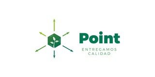 Point Andina